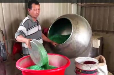 Hình ảnh r;/ợn người trong các xưởng làm thuốc giả