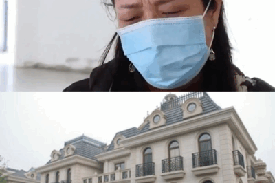 Người phụ nữ mua căn hộ 7 tỷ đồng, ở 1 năm, nhận thông báo tịch thu nhà vì n/ợ /xấu, tòa án: “Chị không phải trả, còn được đền bù 700 triệu đồng”