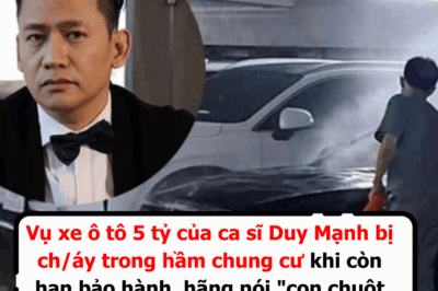 Vụ xe ô tô 5 tỷ của Duy Mạnh ch/áy trong chung cư, con chuột phải chịu trách nhiệm