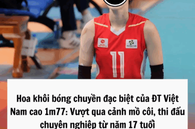 Hoa khôi bóng chuyền đặc biệt của ĐT Việt Nam cao 1m77: Vượt qua cảnh mồ côi, thi đấu chuyên nghiệp từ năm 17 tuổi