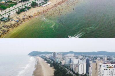 Từ ngày 1/7/2025, thành phố nhỏ nhất Việt Nam dự kiến sẽ bị ‘x/óa tên’ khỏi bản đồ hành chính