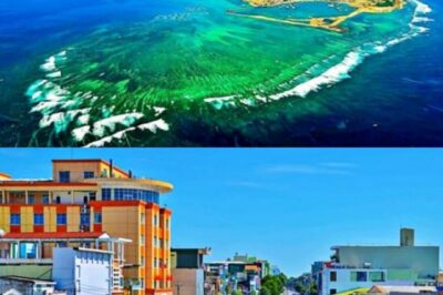 Sau sáp nhập, hai tỉnh miền Trung chưa có sân bay nào dự kiến xây 2 sân bay trên đảo và núi