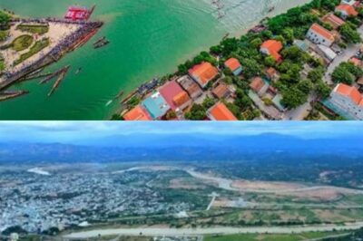 Đây là 3 dòng sông chảy ngược nổi tiếng ở Việt Nam, thậm chí có sông được gọi với biệt danh ‘Nghịch hà’