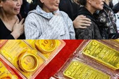 Giảm sâu giá vàng miếng hôm nay