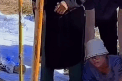 Xử lý gọn gàng không một chút vết tích, mẹ Bắp nghĩ với những điều mình nhanh tay làm sau khi con mất đã tránh được việc sao kê?