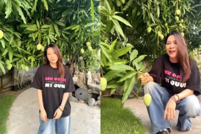 Cuộc sống của Mỹ Tâm ở tuổi U50, chưa cần chồng con, ngày nào cũng làm 1 việc