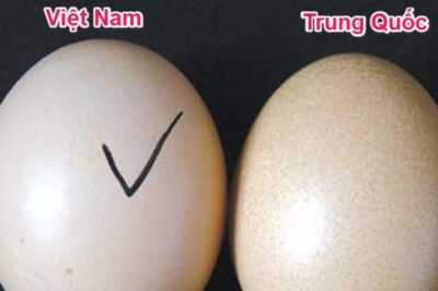 Đã tìm ra thông tin 10 thực phẩm Trung Quốc được làm giả nhiều nhất