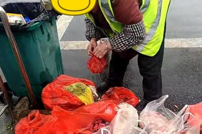 Tìm thấy chủ nhân thẳng tay vứt 50kg đồ sống của lợn