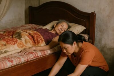 Con dâu đùng đùng bỏ đi vào ngày mẹ chồng bị li;ệt rồi để lại thứ dưới gầm giường