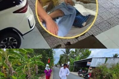 Nam tài xế Vĩnh Long nói gì sau khi được ra vi:ện