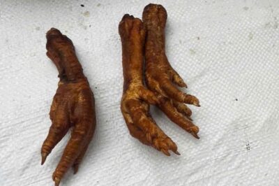 Thu giữ hơn 1,4 tấn chân gà không có hóa đơn đang được mang đi tiêu thụ