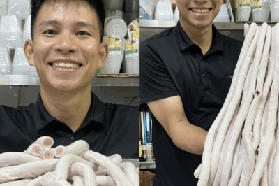 Cơ quan chức năng vào cuộc kiểm tra lòng se điếu dài 40m, ông chủ hot nhất MXH giờ ra sao?