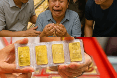 Giá vàng TỐI NAY: CHẠM ĐÁY thật rồi