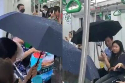 Nguyên nhân tàu metro Cát Linh – Hà Đông bị ‘dột’, khách che ô suốt hành trình