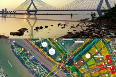 Chỉ vài ngày nữa, Việt Nam sẽ khởi công “siêu cầu” dây văng vượt sông Hồng hơn 20.000 tỷ đi qua đại dự án 42.000 tỷ của Vingroup