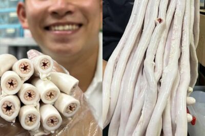 Bóc trần sự thật về lòng xe điếu dài 40m