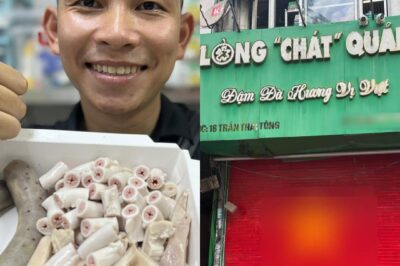 Động thái mới nhất của Lòng Chát quán