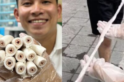 Chi tiết về lời xin lỗi của Ngô Quyền Thế