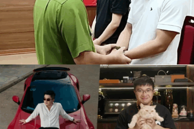 Tình hình đáng lo ngại của Quang Linh Vlogs: Anh rể tiết |ộ không còn cơ hội nào, liên quan trực tiếp đến “tr:ùm đào lửa” Mr Pips?