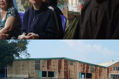 Đã có được tin tức của Diễm My từ “thầy ông nội”