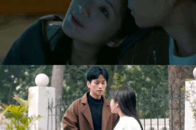 Cha Tôi Người Ở Lại nhận tin buồn, không còn cơ hội nào nữa rồi!