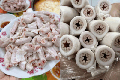 Mang thứ này đi kiểm tra tại quán, biết ngay đâu là lòng se điếu xịn, đâu là “lòng se k;:;hít’