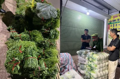 Danh sách hơn 300kg loại rau củ chứa chất cực đ:ộc đang chờ để b:án cho người dân
