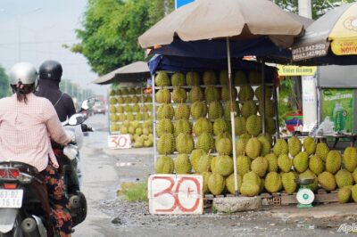 LÝ DO GÌ khiến sầu riêng Việt Nam bị Trung Quốc trả về, doanh nghiệp phát hiện BẤT THƯỜNG