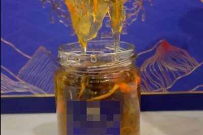 Đã có kết quả thành phần tến sào Lê Anh Nuôi, Phạm Thoại… bán: Hóa ra toàn mang “r:ác” về ăn
