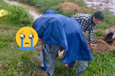 Qúa thương tâm, người đàn ông tu:vong khi đi gieo mạ sau tiếng gọi của “ông trời”
