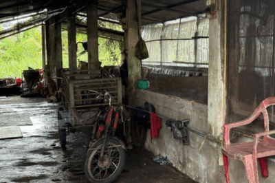 Không còn là Sóc Trăng, Hậu Giang đã can thiệp ra chỉ đạo n:óng vụ C.P. Việt Nam bán thịt heo bệ/nh