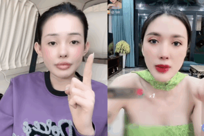 Ngân Collagen gặp ‘biến căng’ sau khi bị nghi thuê biệt thự 500 tỷ để sống phông bạt