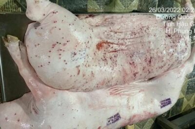 Lãnh đạo Bộ NN-MT tuyên bố nóng về vụ C.P.