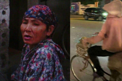 Mẹ U70 đạp xe gần 200km ra Hà Nội tì/m con vì nhớ, rồi m-ấ;;t tí::c//h b//í ẩ–n: Gia đình kh;ó;;c ng;;h:ẹn tìm m/a/nh m-/ố/i