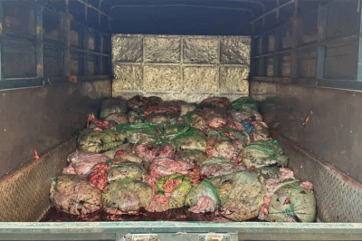 Nghệ An xử lý 1,3 tấn nội tạng không rõ nguồn gốc, buộc tiêu hủy toàn bộ