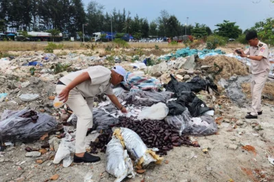 Phát hiện hàng trăm vỉ thuốc say tàu xe có nhãn hiệu, còn hạn đến 2028 bị v-ứ-t ở bãi rác tại Đà Nẵng