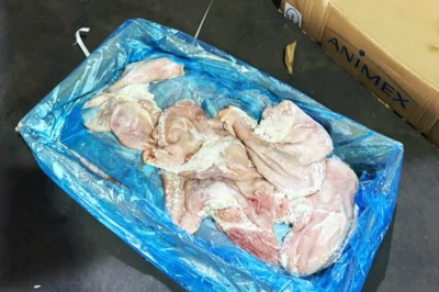 Rùng mình phát hiện 61 tấn thực phẩm đông lạnh bẩn vô chủ giữa lòng Sài Gòn