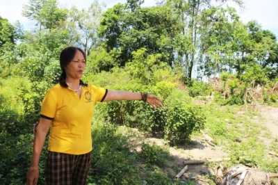 Bảng thuế mới áp dụng chuyển đổi các loại đất làm sổ đỏ gây choá-ng ván-g