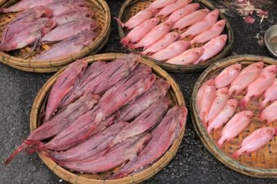 Người dân nghi cá biển bị nhuộm phẩm, tiểu thương thẳng thắn: “Ngâm sting dâu cho đẹp, ăn đi không phải làm quá lên đâu”