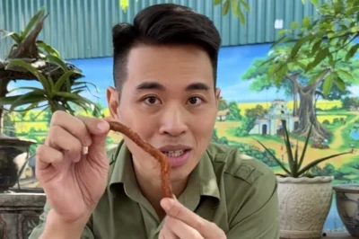 Lê Anh Nuôi làm Tiktok hơn 1 năm bằng người ta làm cả đời là có thật, cứ nhìn vào doanh thu là rõ, con số siêu thực